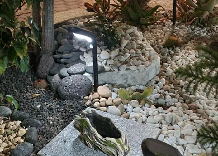 Hato Fuerteventura *